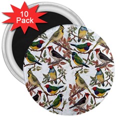 Vintage Birds 3  Magnets (10 Pack)  by Valentinaart