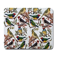 Vintage Birds Large Mousepads