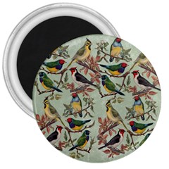 Vintage Birds 3  Magnets by Valentinaart