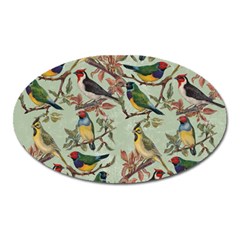 Vintage Birds Oval Magnet by Valentinaart