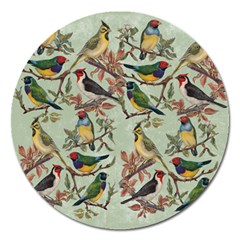 Vintage Birds Magnet 5  (round) by Valentinaart