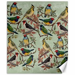 Vintage Birds Canvas 8  X 10  by Valentinaart