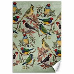 Vintage Birds Canvas 12  X 18  by Valentinaart