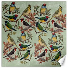 Vintage Birds Canvas 16  X 16  by Valentinaart