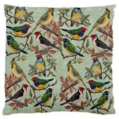 Vintage Birds Large Cushion Case (two Sides) by Valentinaart