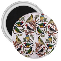 Vintage Birds 3  Magnets by Valentinaart