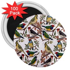 Vintage Birds 3  Magnets (100 Pack) by Valentinaart