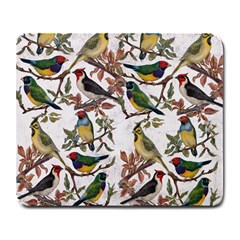 Vintage Birds Large Mousepads by Valentinaart