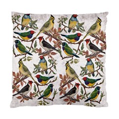 Vintage Birds Standard Cushion Case (one Side) by Valentinaart