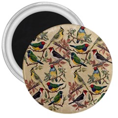 Vintage Birds 3  Magnets