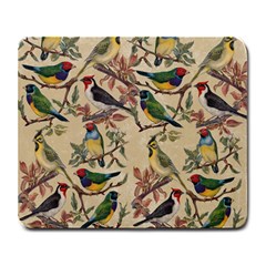 Vintage Birds Large Mousepads by Valentinaart