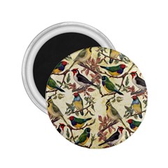 Vintage Birds 2 25  Magnets by Valentinaart