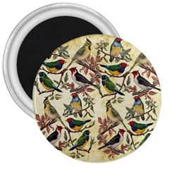 Vintage Birds 3  Magnets by Valentinaart