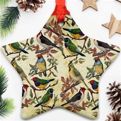 Vintage Birds Ornament (star) by Valentinaart