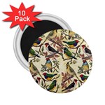 Vintage Birds 2.25  Magnets (10 pack)  Front