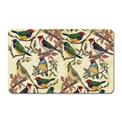 Vintage Birds Magnet (rectangular) by Valentinaart