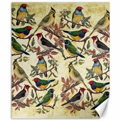 Vintage Birds Canvas 8  X 10  by Valentinaart