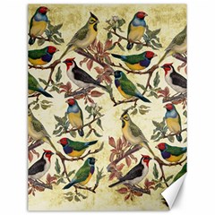 Vintage Birds Canvas 12  X 16  by Valentinaart