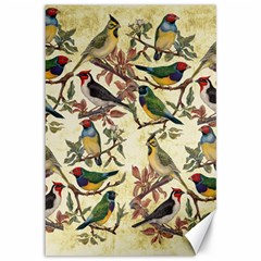 Vintage Birds Canvas 12  X 18  by Valentinaart