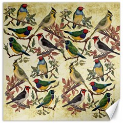 Vintage Birds Canvas 16  X 16  by Valentinaart