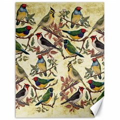 Vintage Birds Canvas 18  X 24  by Valentinaart