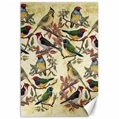 Vintage Birds Canvas 20  X 30  by Valentinaart