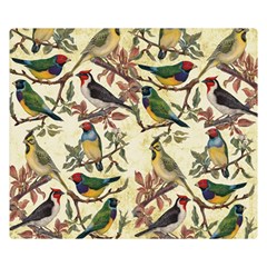 Vintage Birds Double Sided Flano Blanket (small)  by Valentinaart