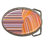 Electric Field Art XXII Belt Buckles Front