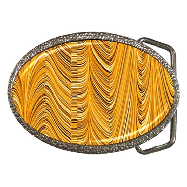 Electric Field Art XXXVI Belt Buckles