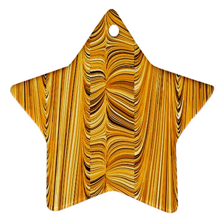 Electric Field Art XL Star Ornament (Two Sides)