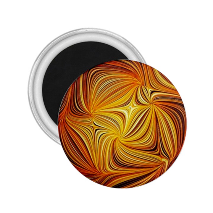 Electric Field Art LI 2.25  Magnets