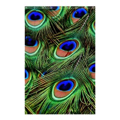 Peacock Feathers Shower Curtain 48  X 72  (small) 