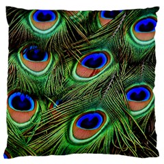 Peacock Feathers Large Cushion Case (two Sides) by snowwhitegirl