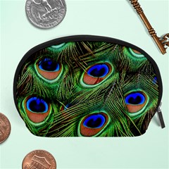 Peacock Feathers Accessory Pouch (large) by snowwhitegirl