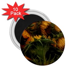 Bunch Of Sunflowers 2 25  Magnets (10 Pack) 