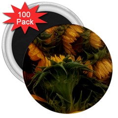 Bunch Of Sunflowers 3  Magnets (100 Pack)