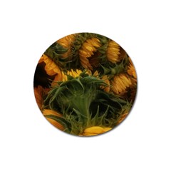 Bunch Of Sunflowers Magnet 3  (round) by okhismakingart