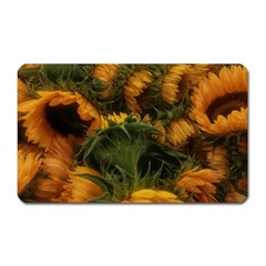 Bunch Of Sunflowers Magnet (rectangular) by okhismakingart