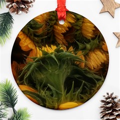 Bunch Of Sunflowers Round Ornament (two Sides) by okhismakingart