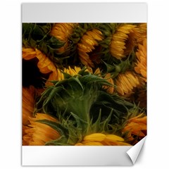 Bunch Of Sunflowers Canvas 12  X 16  by okhismakingart