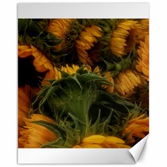 Bunch Of Sunflowers Canvas 16  X 20  by okhismakingart