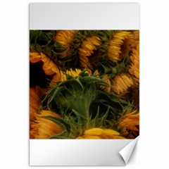 Bunch Of Sunflowers Canvas 20  X 30 