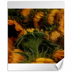 Bunch Of Sunflowers Canvas 11  X 14  by okhismakingart