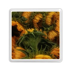 Bunch Of Sunflowers Memory Card Reader (square) by okhismakingart