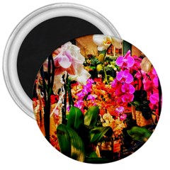 Orchids In The Market 3  Magnets by okhismakingart