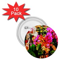 Orchids In The Market 1 75  Buttons (10 Pack)