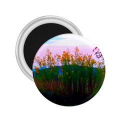 Field Of Goldenrod 2 25  Magnets by okhismakingart