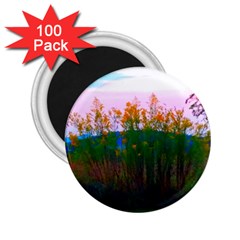 Field Of Goldenrod 2 25  Magnets (100 Pack) 