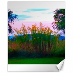 Field Of Goldenrod Canvas 11  X 14  by okhismakingart