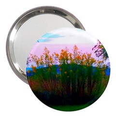 Field Of Goldenrod 3  Handbag Mirrors